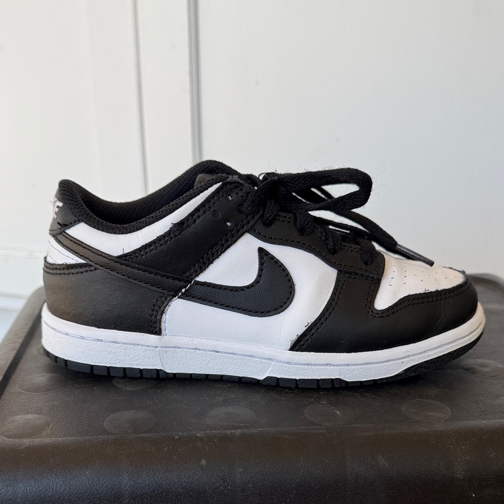Kids Nike Dunks